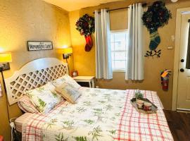 Acorn Hideaways Canton Delightful Christmas Suite Year Round，位于坎顿的旅馆