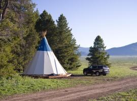 Starlight Retreat Yellowstone，位于艾兰帕克的豪华帐篷