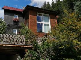 Waldhaus Klein-Veitsch, Auszeit im Grünen，位于Niederaigen的酒店