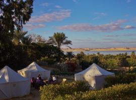 Tunis Camp Fayoum，位于法尤姆的露营地