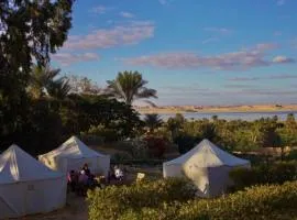 Tunis Camp Fayoum