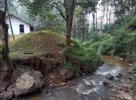 Creek Side