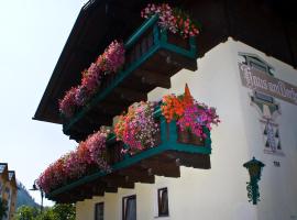 Pension Haus am Dorfplatz，位于弗拉绍的酒店