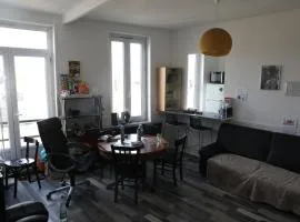 Appartement spacieux Lille