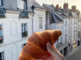 Magnifique logement au pied du Château，位于布鲁瓦的酒店