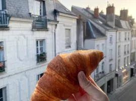 Magnifique logement au pied du Château