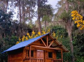 Pinar del Valle - Glamping en el Bosque - Propiedad Completa en Constanza，位于孔斯坦萨的酒店