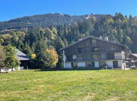 Chalet Esquinade 4 bedrooms appartment Megève，位于梅杰夫的酒店