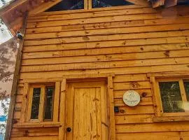 Mariposa - Cabañas Puerto del Zopilote