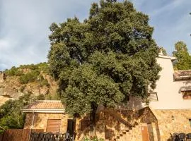 Apartamentos 7 puentes sierra Cazorla Casa Encina