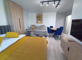 Apartament Zabrze Grzybowska，位于扎布热的酒店