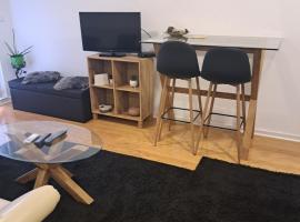 Sara apartman，位于Novi Grad的酒店