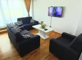 Penthouse Danube Exclusive, Parking, 90m2, Wifi