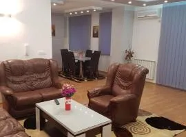 Apartman Aleksandar, BN centar