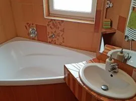 Lipno -1 Apartmány