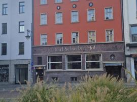 Hotel Schweizer Hof，位于萨勒河畔哈雷的住宿加早餐旅馆