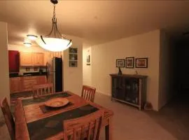 Spacious Condo in Victor