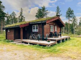 Ryen Hytteutleie - Cottages，位于勒罗斯的酒店