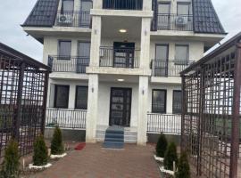 RANE HOTEL，位于Roşiori de Vede的酒店