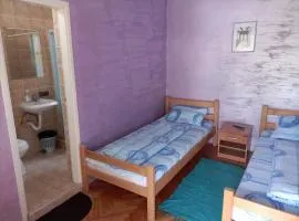 Banja Gornja Trepca-smestaj Grof