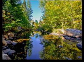 Chalet du ruisseau，位于Entrelacs的酒店