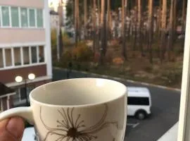 Сучасна квартира в районі Центрального парку