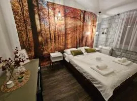Apartmani Drijen