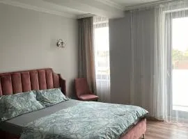 Becca’s Downtown Apartment with private parking