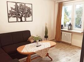 APARTAMENT CENTRUM Międzychód，位于Międzychód的酒店