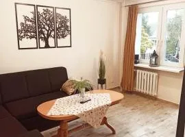 APARTAMENT CENTRUM Międzychód