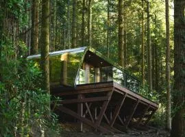 Forest Lodges