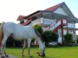 Tekauhivai Lodge