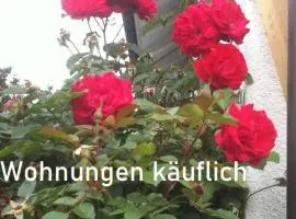 Ferienhaus Haus Kellerhof mit zwei Ferienwohnungen und Garten zu verkaufen Kontakt Peter Heubüschl Lörrach