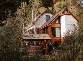 Aproka - Chalet Mignon Adorable small guest house，位于Sicasău的乡村别墅