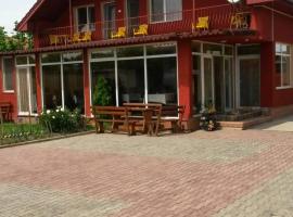 Pensiunea San，位于阿拉德的宠物友好酒店