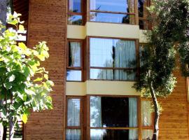 Villa Sofía Apart Hotel，位于圣卡洛斯-德巴里洛切的木屋