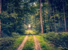 Landgasthof im Schwarzwald ideal für Wanderer & Biker，位于普福尔茨海姆的住宿加早餐旅馆