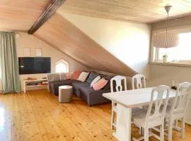 Penthouse close to Vasaloppet finish line portal
