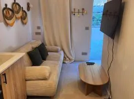 Charmant Studio - C1