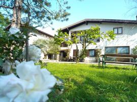 Pri Martinovih，位于Deskle的宠物友好酒店