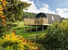 Spectacular Mountain View Ecopod