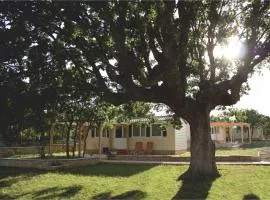 米卡诺维德沃利兹尔马尼亚假日公园