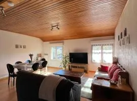 Logement avec vue panoramique à 10min des pistes