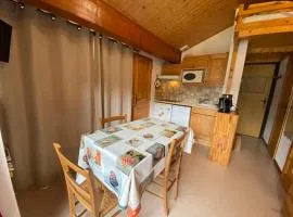 Appartement confortable, 4 personnes, 1 chambre - OCII13