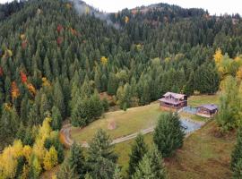 Cabana din Munți，位于博尔沙的酒店