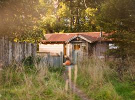 The Boatshed at Camp Plas，位于威尔斯浦的别墅