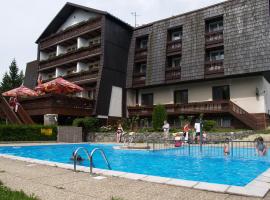 Hotel Pavla Vysočina，位于诺夫梅斯托纳马瑞夫的酒店