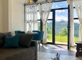 Cozy Mountain View Apartment