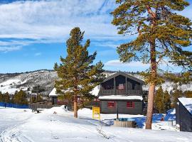 Active Adventure Base - Apartment & Lavvo, Dagali Fjellpark，位于Dagali的酒店