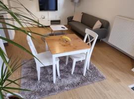 Unterkunft Sanic，位于陶努斯山区克龙贝格的酒店